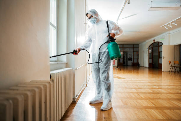 Best Pest Prevention Services  in Bisbee, AZ